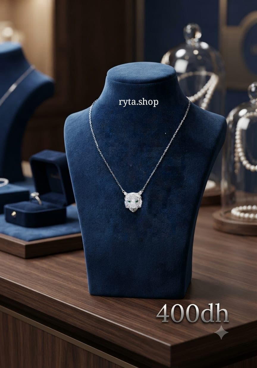 Collier tête de lion en argent